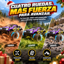 CARRO FURIA 4X4