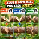Tijera de Poda Experta 2 en 1 + AFILADOR DE CUCHILLOS GRATIS 🎁